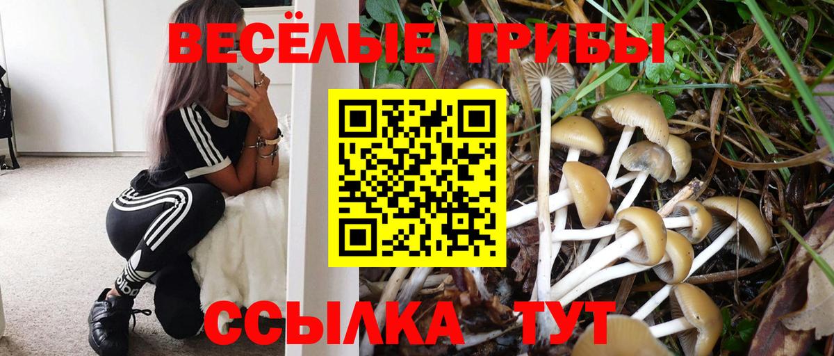 Псилоцибиновые грибы мицелий Дзержинский
