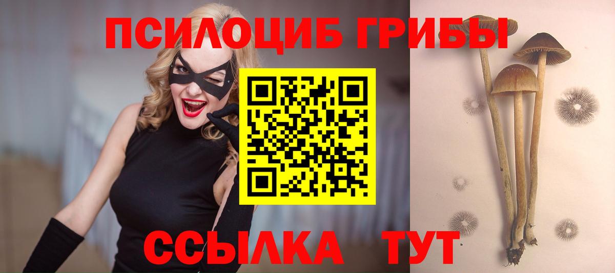 Дзержинский  Псилоцибиновые грибы ЛСД  Вход с VPN 